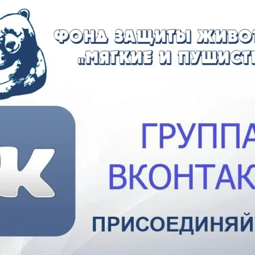 Группа в Вконтакте Фонда Мягкие и Пушистые Группа в Вконтакте Фонда Мягкие и Пушистые