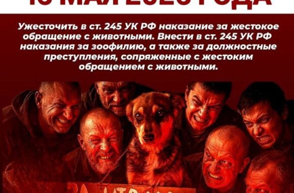 685147167_27464799179787874_9028434344851442012_n ВНИМАНИЕ! ДОРОГИЕ ДРУЗЬЯ, ЗООЗАЩИТНИКИ, ВОЛОНТЁРЫ, СОРАТНИКИ!