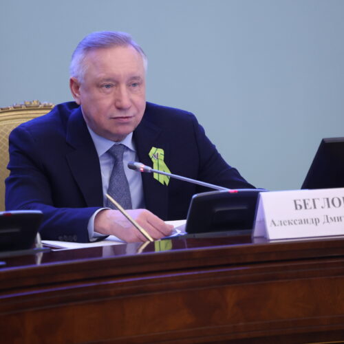 Александр Беглов отметил системную работу Петербурга по защите животных