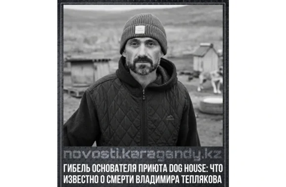 Владимир Тепляков